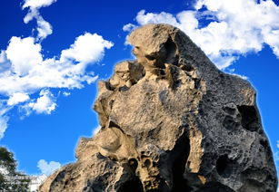 云峰江苏摄影站 基于Discuz构建的摄影交流新平台